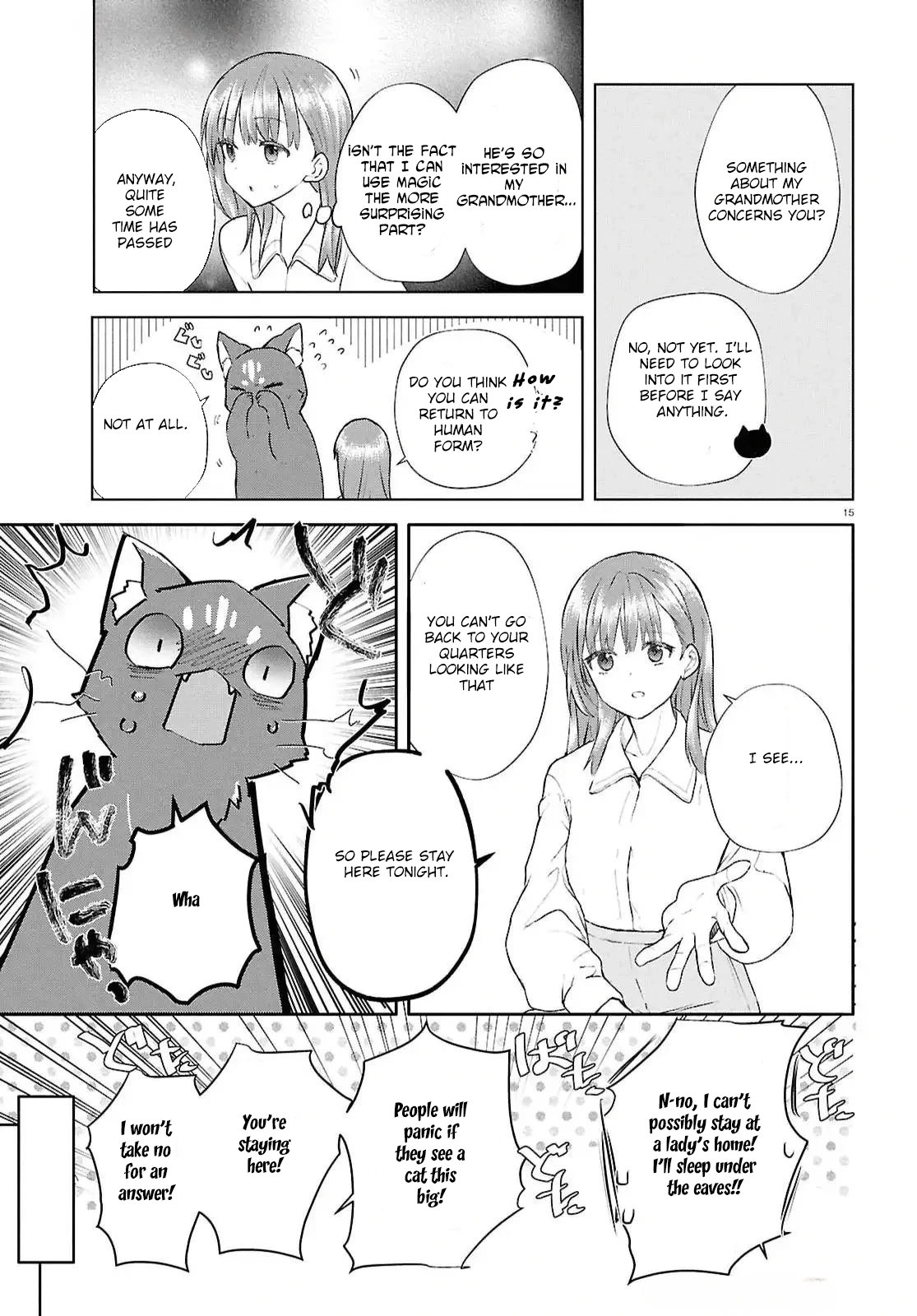 The Hideaway Café: The Mage by Accident and the Visiting Royal Secretary Chapter 5 Page 16